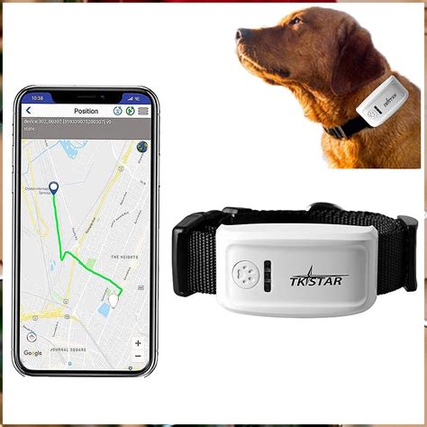 rfid pet tracking system|dog gps tracking system.